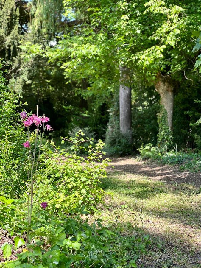 Les Jardins De L'Hermitage Cellettes  Luaran gambar